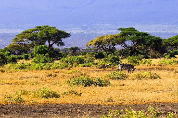 Nos voyages au Kenya