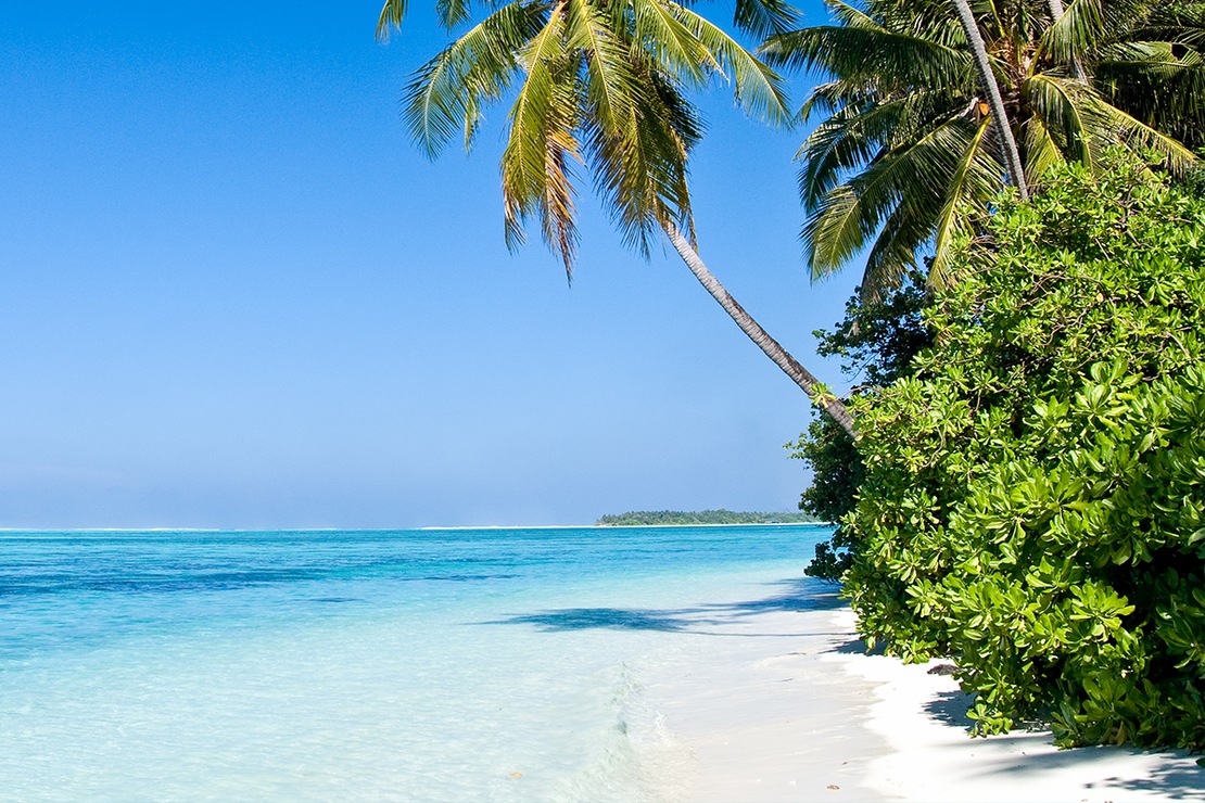 Voyages aux Caraïbes