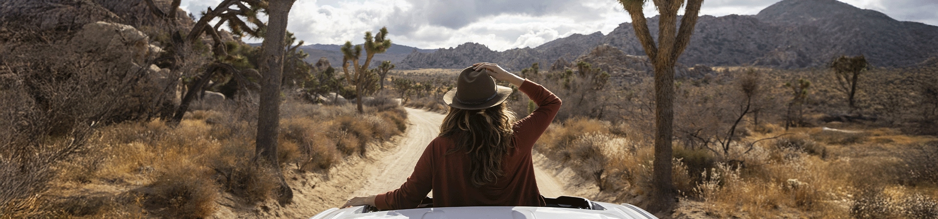 Road Trips & Circuits privés 