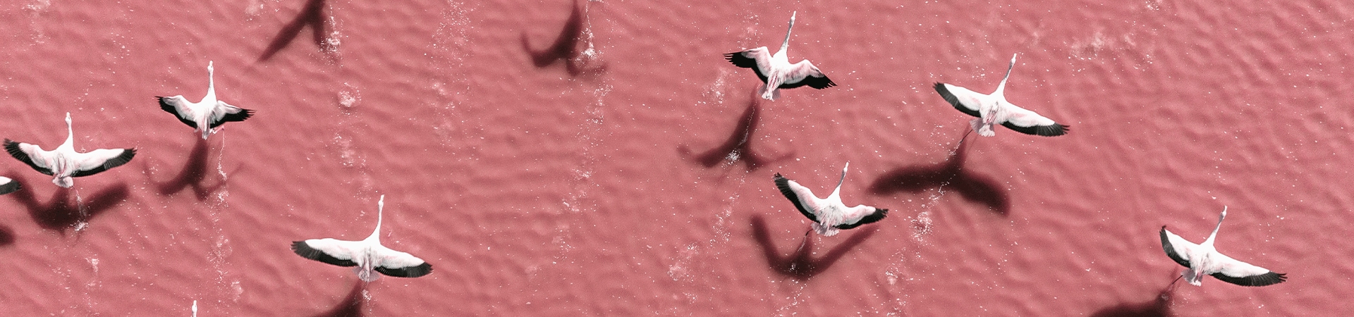 Où partir cet été ?