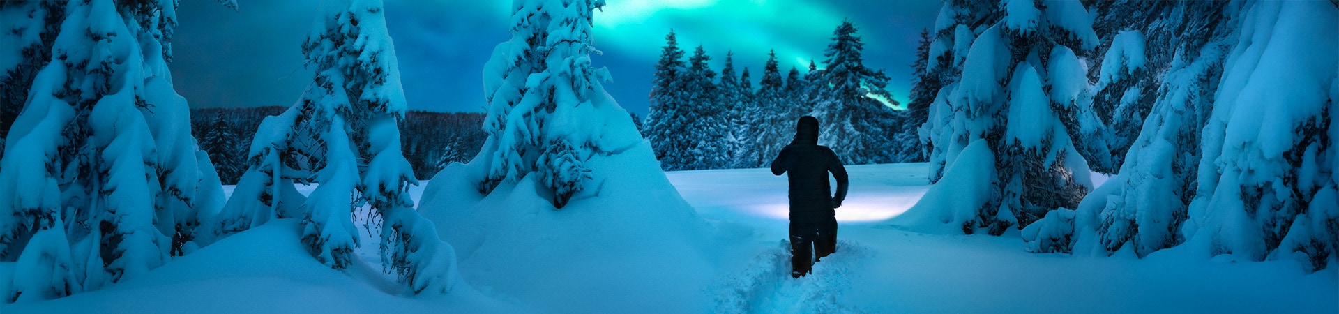 Merveilles d'hiver