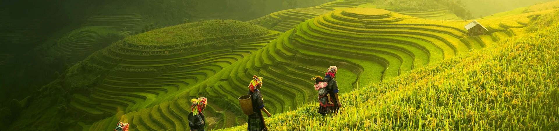 Circuits en petit groupe