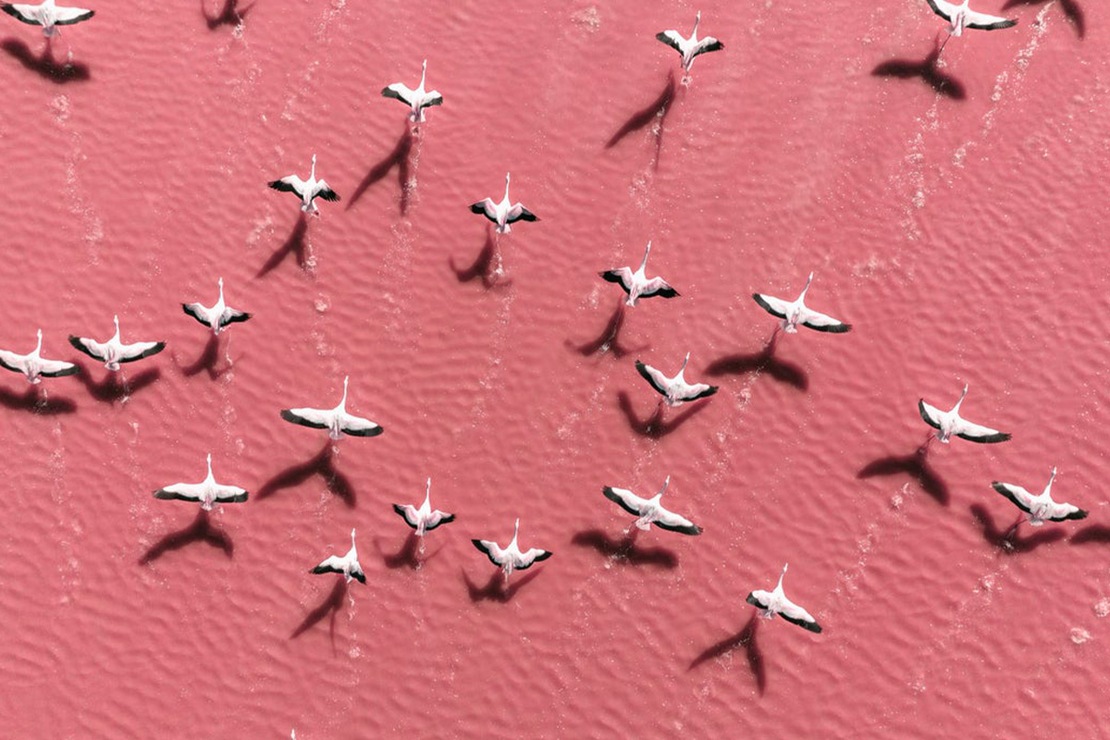 Où partir cet hiver ?