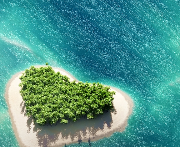 Découvrez nos coups de coeur